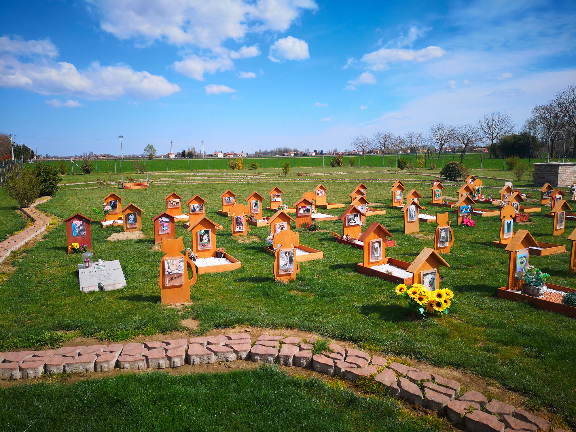 CIMITERO ANIMALI