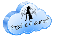 angelia4zampe.it